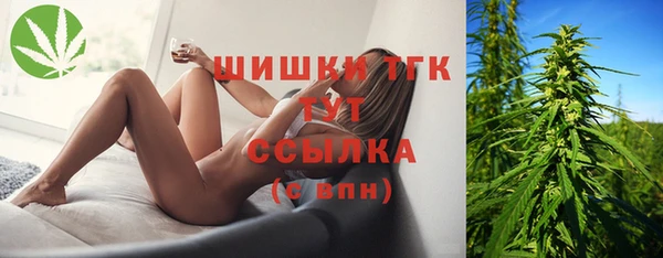 тгк Абинск