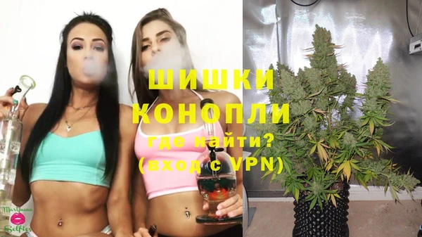 бошки Абаза