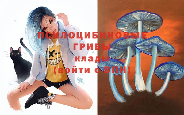 ГАЛЛЮЦИНОГЕННЫЕ ГРИБЫ Абдулино