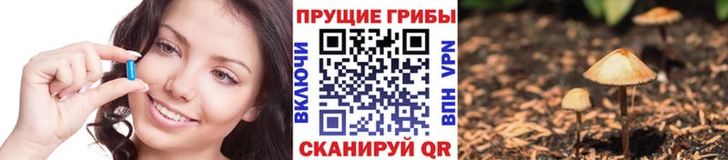 Галлюциногенные грибы Psilocybe  сколько стоит  Пыталово 